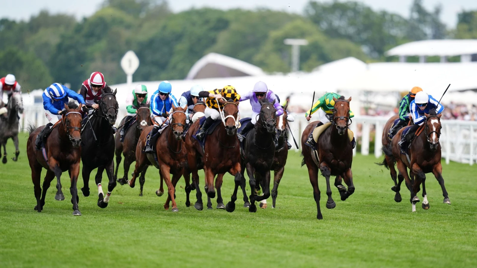 Алмерақ Royal Ascot-тағы спринтте финишке бірінші жетті