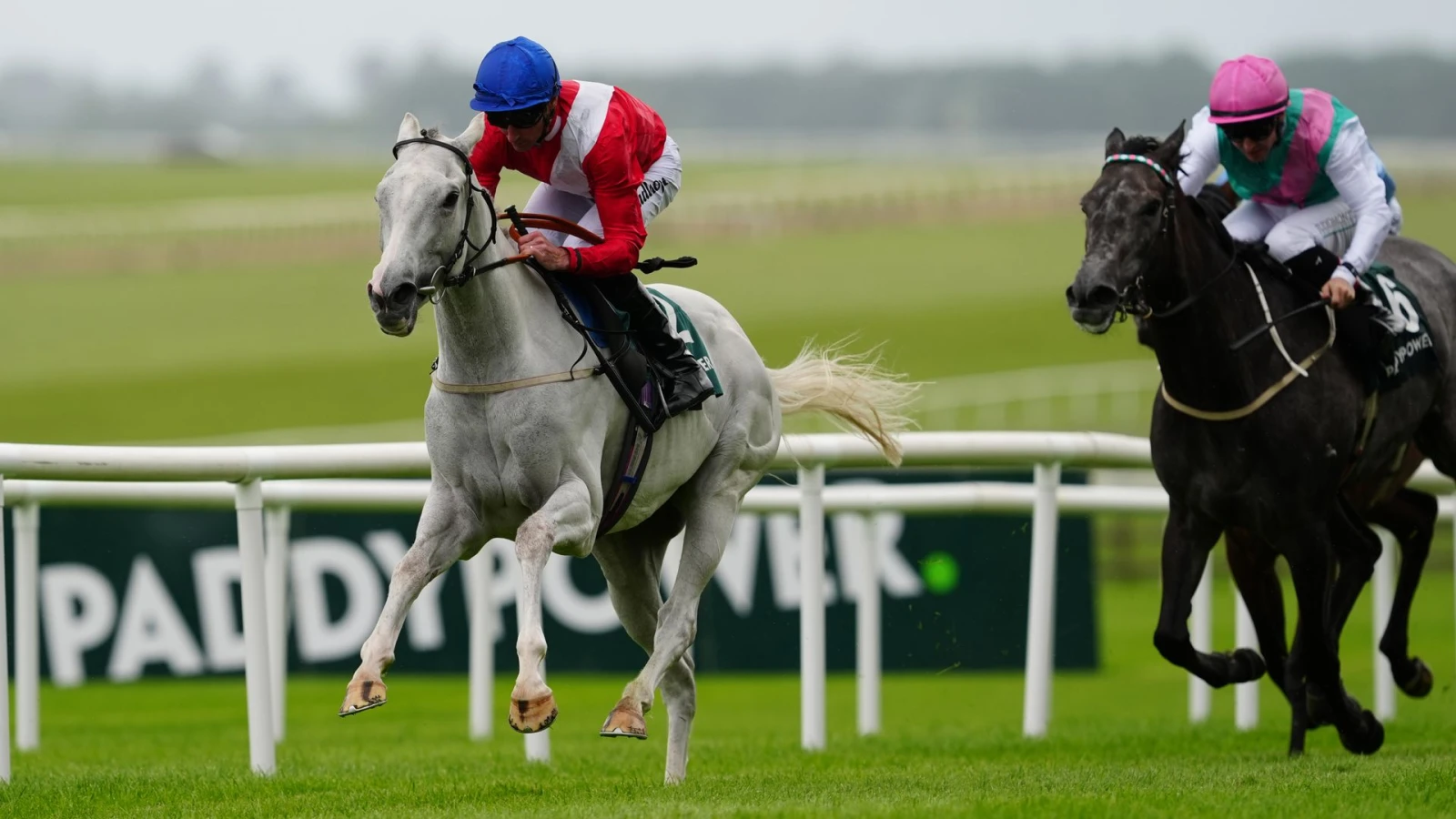 Estrange Pretty Polly Stakes жарысында тарихи жеңіс қайырды