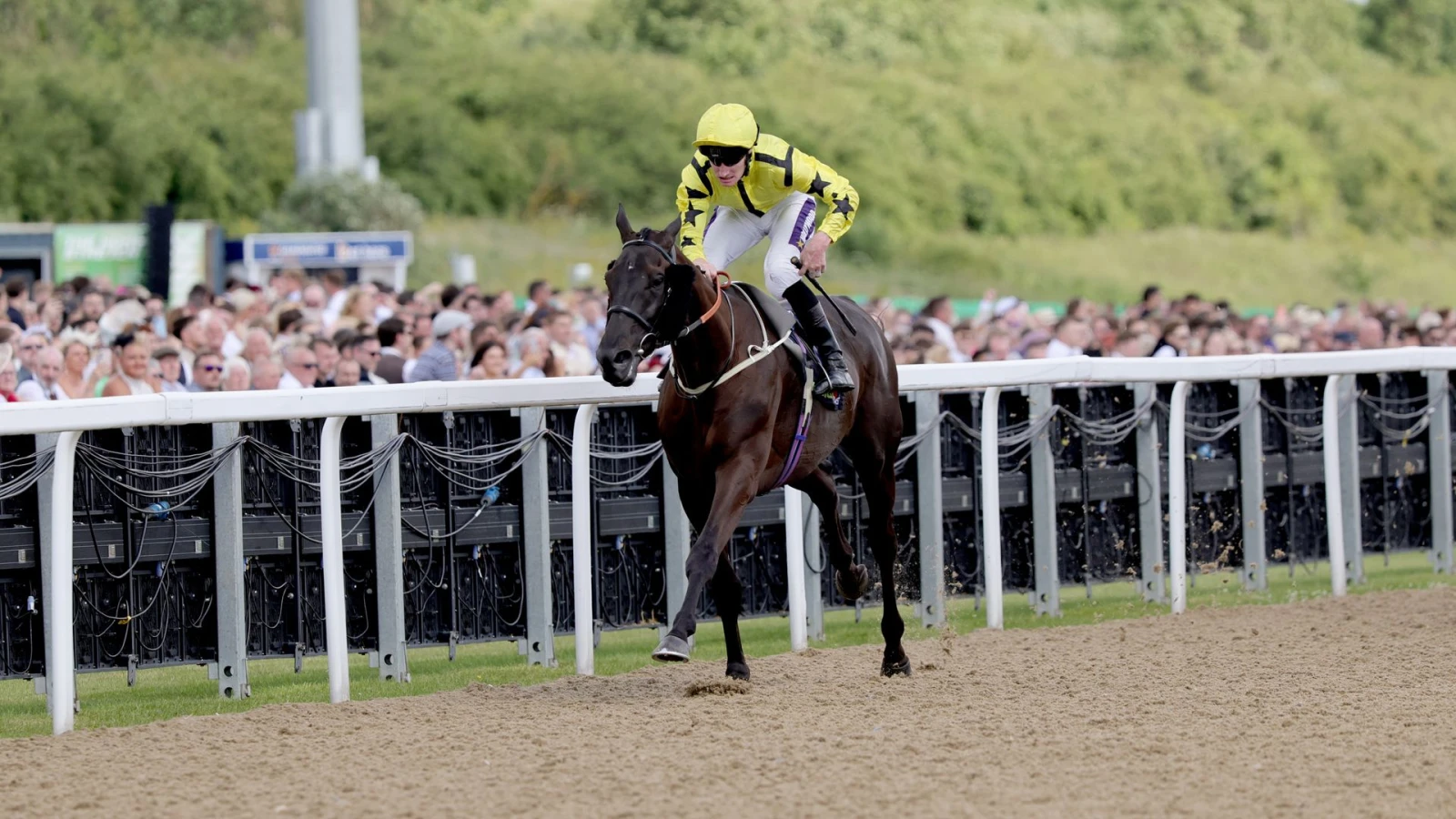 Align The Stars Ньюкаслдегі Northumberland Plate жарысын жеңіп алды