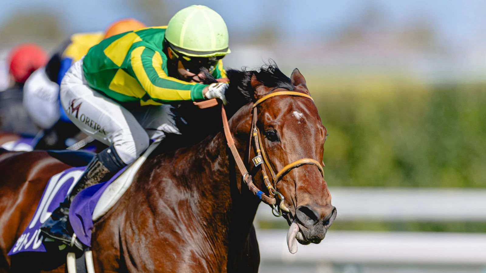 Royal Ascot: Satono Reve — фавориттер тізімінің басында